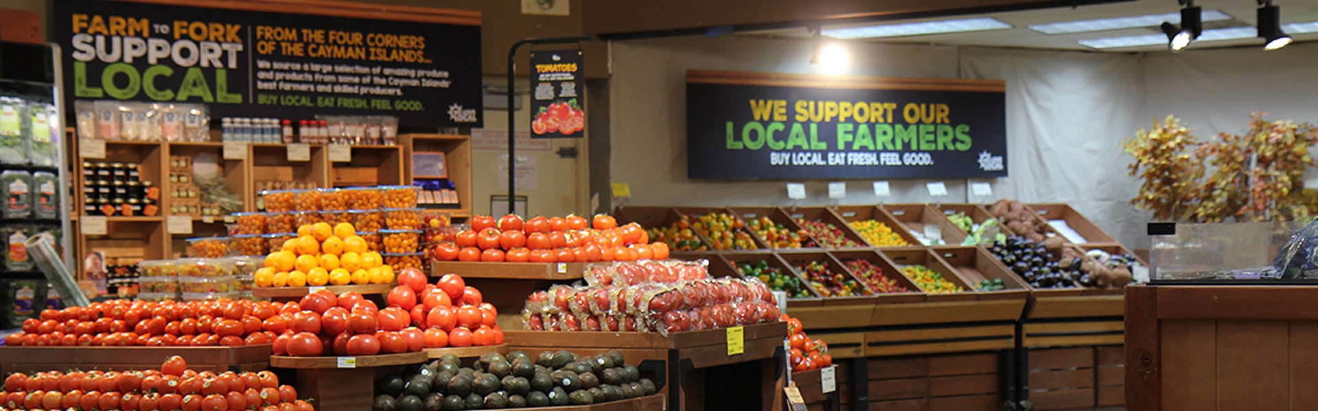 Vimisha E-Commerce promo